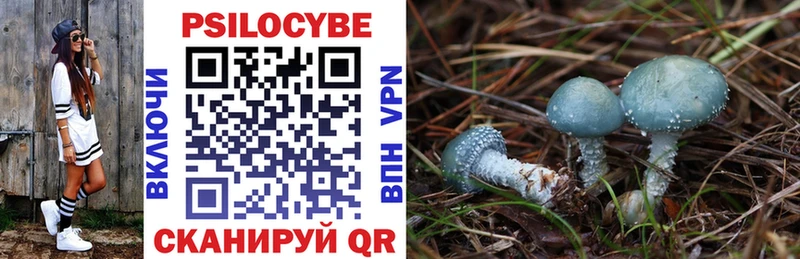 Псилоцибиновые грибы Psilocybine cubensis  OMG зеркало  Таруса  цена  